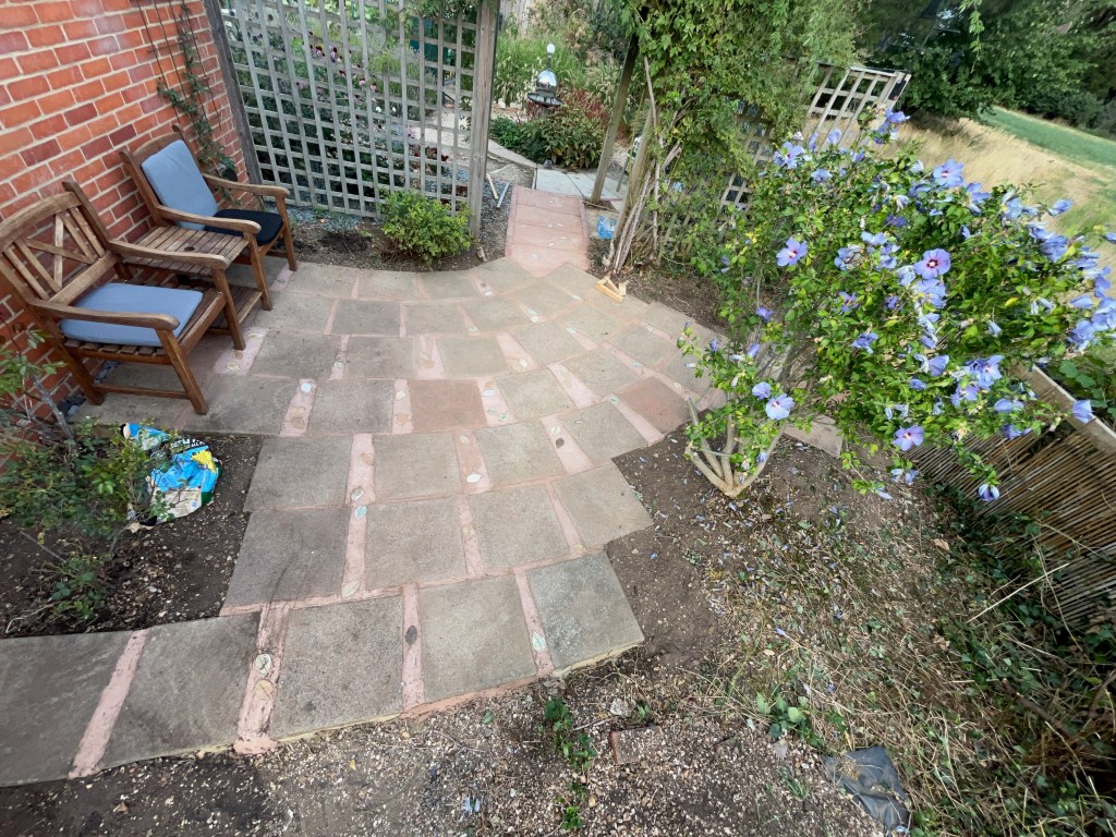 A newly renovated garden space featuring a curved stone pathway with patches of greenery and flowering plants, a wooden bench, and a trellis, set in a tranquil environment.